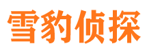 东阳市调查公司